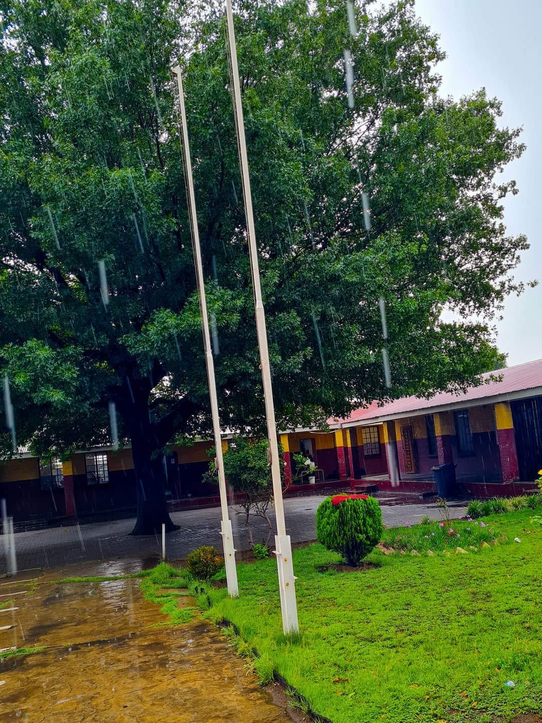 Tsatsi Primary School - Tsatsi Primary School Tsatsi Primary School in Zamdela